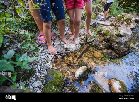 Kinder Barfu Fu Zu Fu Durch Klares Wasser In Wald Bach Abenteuer Am