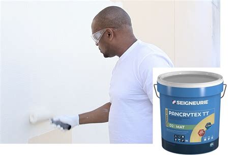 Pancrytex Tt Une Peinture De Fa Ade Tous Temps S Chage Rapide