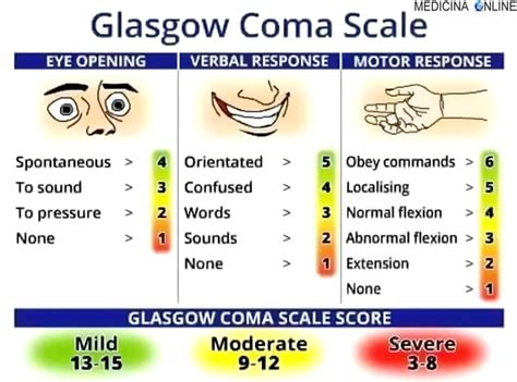 Glasgow Coma Scale Per La Classificazione Del Coma Medicina Online