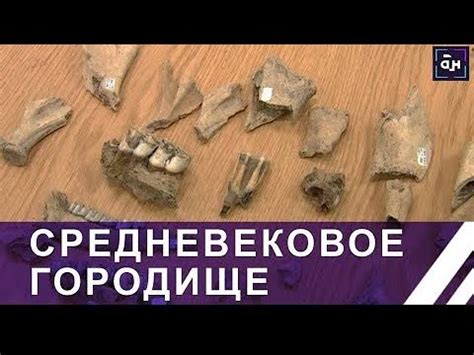 Эксклюзив! В Национальном парке "Припятский" найдено средневековое ...