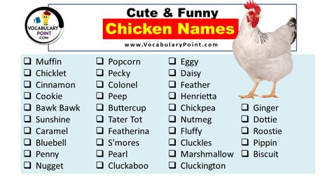 Best Chicken Names Cute Funny Clever Baby Chick Names