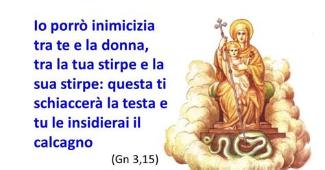 Misericordia Io Voglio E Non Sacrificio Papa Francesco Lettera