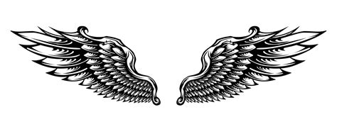 Tribal angel wings tattoo illustration 11888048 Vector Art at Vecteezy