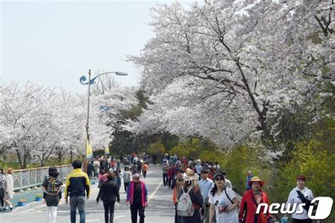 목포시 4월 유달산 봄 축제 개최행사 다채 파이낸셜뉴스