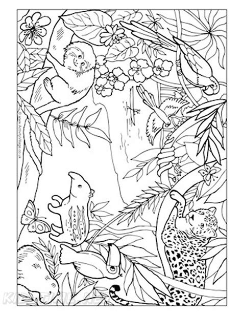 Printable Rainforest Animals Coloring Pages Check Back For More Ways