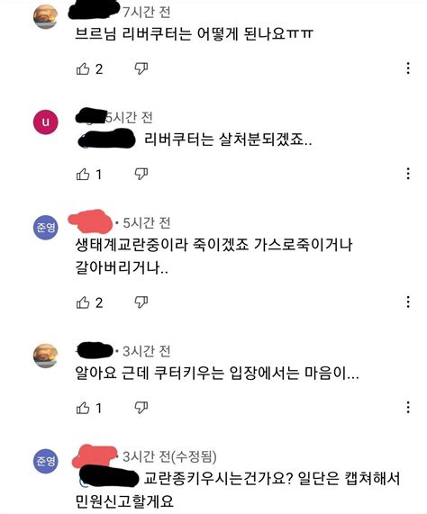 유튜브 댓글 레전드 유머움짤이슈 에펨코리아