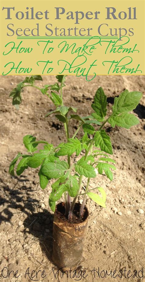 Save Your Used Toilet Paper Rolls For Gardening Instead Of Throwing