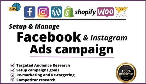 Create And Setup Manage Your Facebook Ads And Instagram Ads Campaign