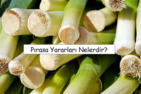 P Rasa Yararlar Nelerdir Gelecekten Net