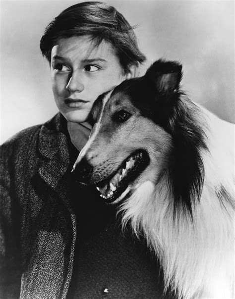 Lassie Come Home 1943