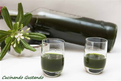 Liquore Con Alloro Ricetta Fatta In Casa