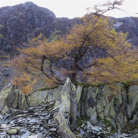 Castle Crag, Lake District, England : r/adventures