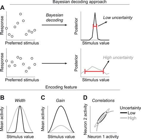 Correlational And Bayesian Decoding Approaches To Uncertainty A In