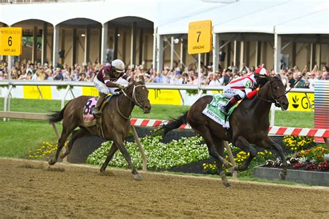 Preakness Stakes Betting Payouts 2022 Trifecta Superfecta Payouts