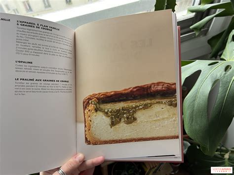 FLAN de François Blanc le livre de recettes pour les aficionados