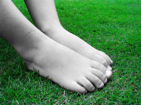 Pieds Nus De Fille Sur Le Sable Blanc Photo Stock Image Du Sant