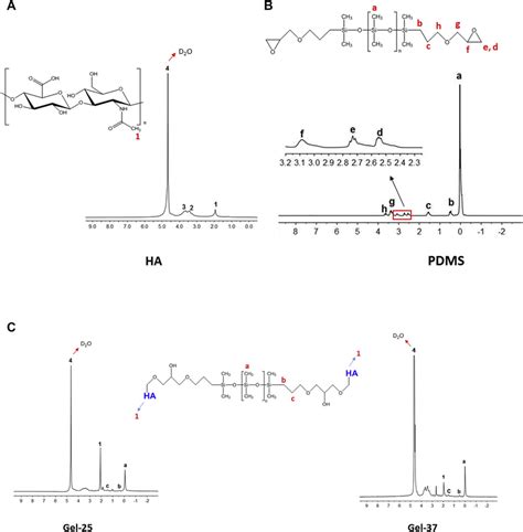 1 H Nmr Spectra Of Ha Pdms Dg Gel 25 And Gel 37 A The Ha Spectrum Download Scientific