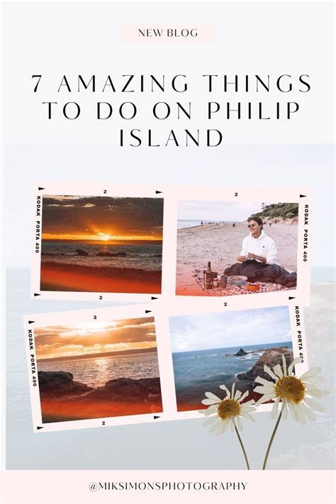 7 AMAZING THINGS TO DO ON PHILIP ISLAND Travel Blog Island Travel