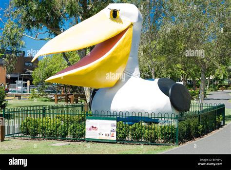 Where Is The Big Pelican Located At Kathleen Flores Blog