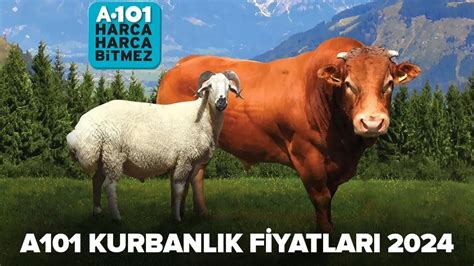 A101 kurbanlık küçükbaş büyükbaş hisse fiyatları 2024 A101 de