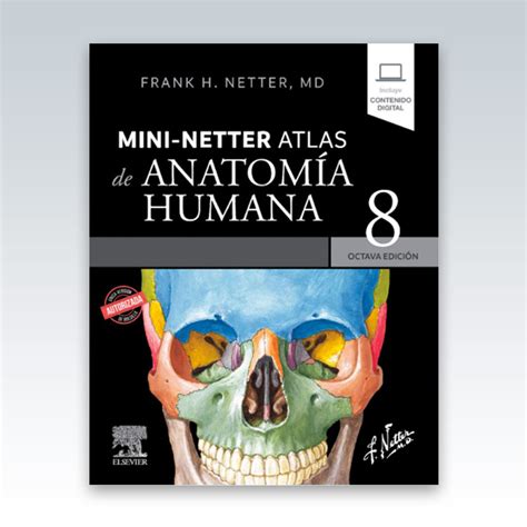 Netter Atlas de anatomía humana Abordaje regional 8ª Edición 2023