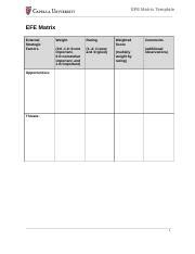 cf EFE matrix template.doc - EFE Matrix Template EFE Matrix External Strategic Factors Weight ...