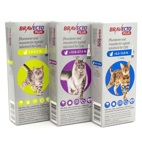 Bravecto Plus For Cats Pets First Choice