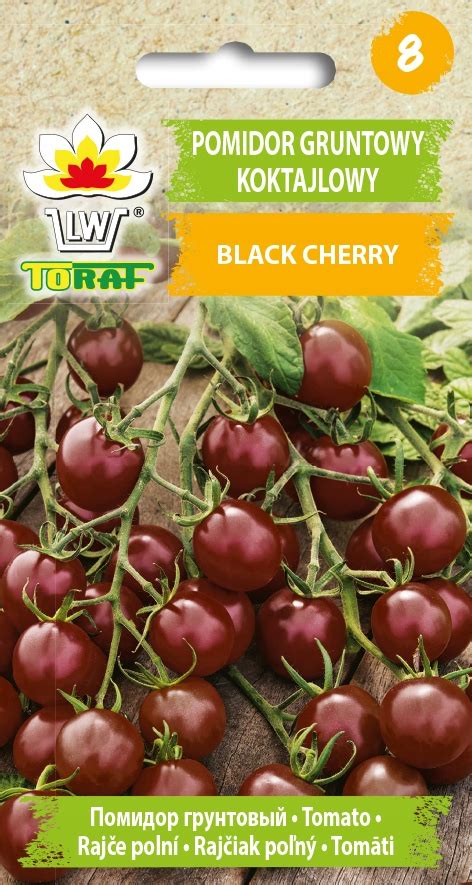 Pomidor Koktajlowy Black Cherry Nasiona G Toraf