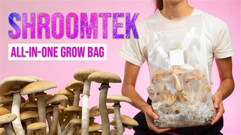 Grow Mushrooms Right In The Bag Shroomtek All In One Mushroom Grow