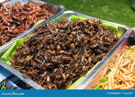 fried insects crickets locusts grasshoppers  worms molitors