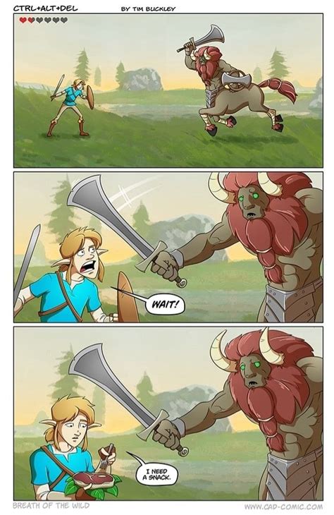 So True Zelda Funny Legend Of Zelda Memes Zelda Memes