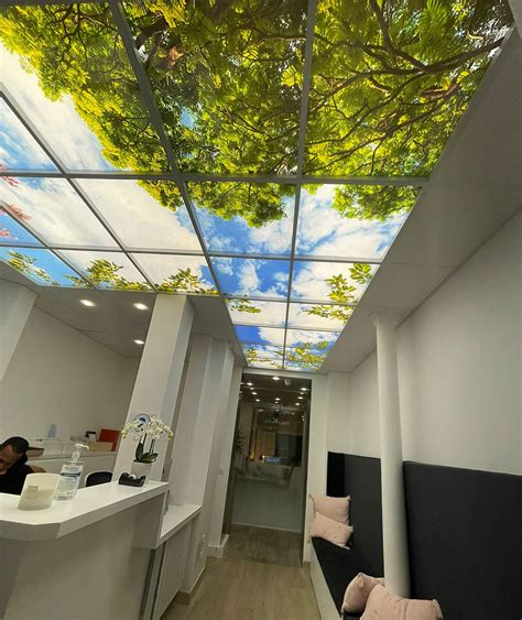 Sky ceiling: Sky ceiling tiles & LED sky panels - Prosky panels®