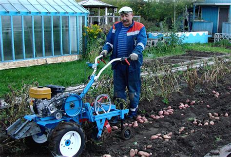 Plantando Batatas Um Trator De Passeio Economizando Tempo E Esfor O