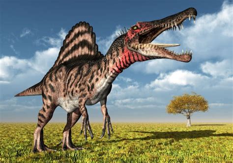 Spinosaurus Dinopedia Alles über Dinosaurier und mehr