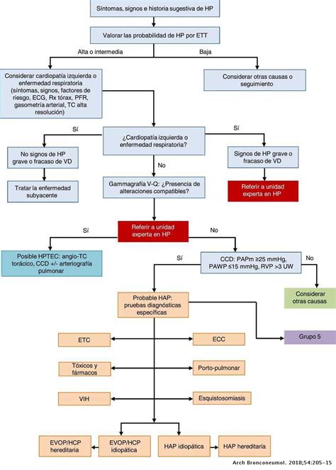 Guía De Diagnóstico Y Tratamiento De La Hipertensión Pulmonar Resumen