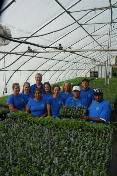 Great Things In Store For North Creek Nurseries Greenhouse Grower