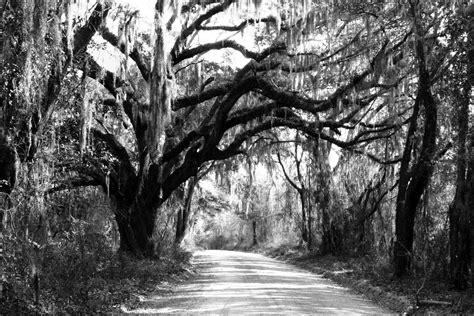 Madison County, Florida Madison County, Places To Visit, Florida ...