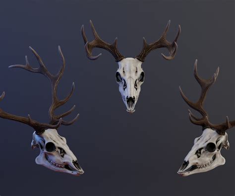 Artstation Deer Skull Game Assets