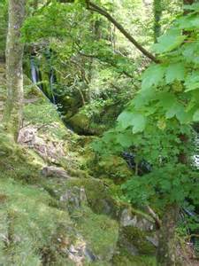 Waterfall At Llanfihangel Y Pennant William Metcalfe Geograph