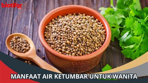 Manfaat Air Ketumbar Untuk Wanita Bisa Mengurangi Stres Biotifor