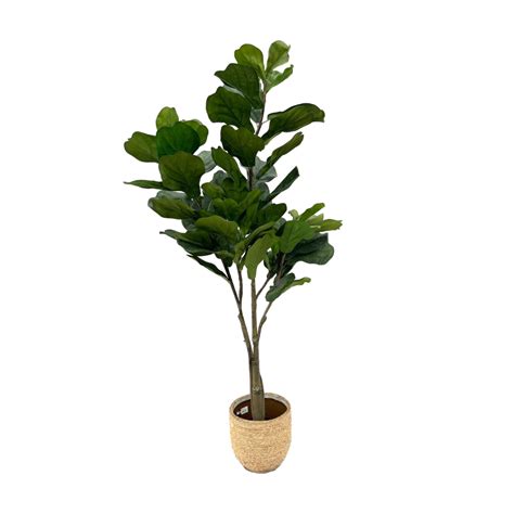 Kunst Ficus Lyrata Vertakt Cm Green Bubble