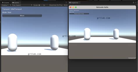 Unity Netcode For Gameobjects Grtlab