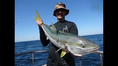 ENTRO EL PEZ LIMON EN MAR DEL PLATA CRUCERO SANDOKAN CON SALIDAS