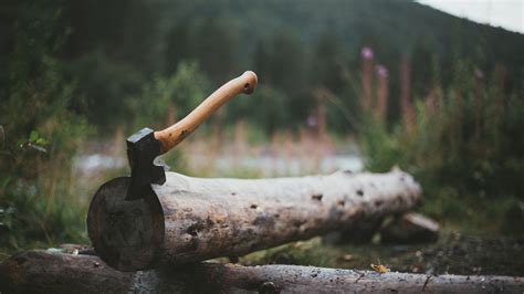 Camping axe vs hatchet: what’s best for building a campfire? | Advnture