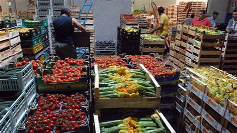 Ortofrutta Crescono Export E Consumi Interni Ma Clima E Logistica