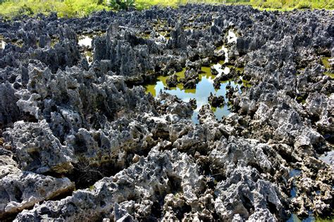 Limestone Rock Formations at Hell in West Bay, Grand Cayman - Encircle ...