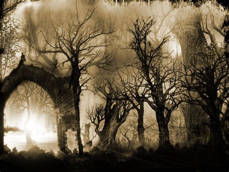 Dark Gothic Wallpapers Gothic Wallpaper Fantasy Forest Dark Gothic