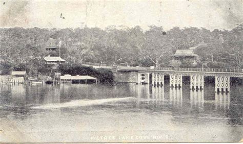 Fig Tree and Cooks River - Postcards to my Grandmother