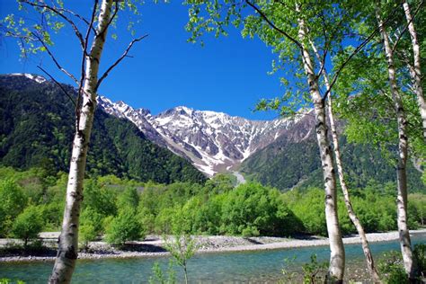 新緑の奥上高地・徳沢 信州の自然を歩こう