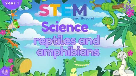 Reptiles And Amphibians Ks1 Year 1 Science Home Learning Youtube